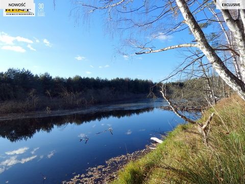 For sale a beautifully located plot of land with an area of 3084 m2 in Krzywnica near Stara Dąbrowa. The area is adjacent to the forest and the Krąpiel River. We also have access to a small lake where you can fish.   The plot is located away from bui...