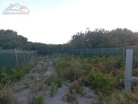 Land in the village of Moledo, all fenced and with sliding gates, divided by the main road. The land has foundations for the placement of a wooden house, already has a sewage pit The land has a predictable view of the village where d. Pedro and D, In...