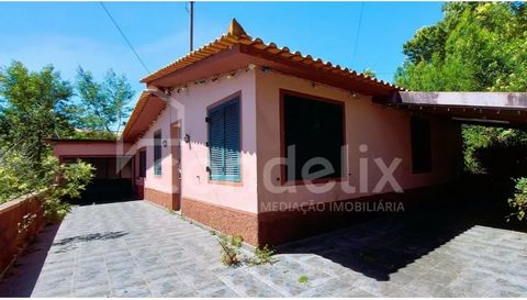 Are you looking for a cozy single storey villa with land in a rural and quiet area surrounded by nature? Get to know this opportunity in Santo António Da Serra - Santa Cruz. Small farm inserted in a plot with 1100m2 where the trees and vegetation cha...