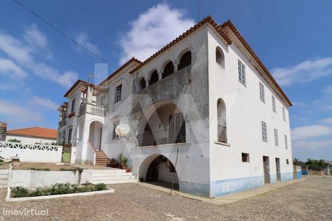 In the middle of the village of Aljustrel and on one of the main roads, there is this manor house with 70 years. The construction includes two residences, built in mirror and unique architecture, praising the best and emblematic that existed at the t...
