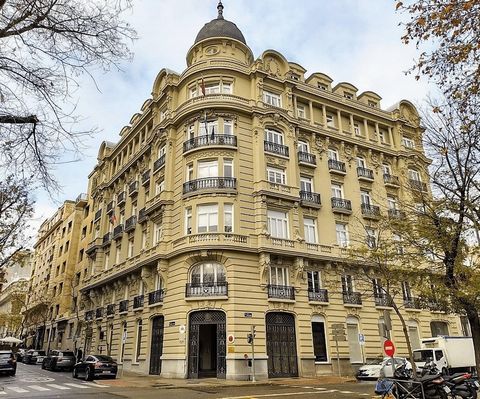 Located in the prestigious area of Castellana in Madrid, this imposing building stands as a benchmark of elegance and functionality in the heart of the Spanish capital. With a generous surface area of 8,301 m², this completely renovated property test...
