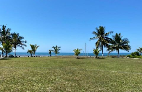 It s not too soon that we see beachfront lots for sale of this size In total this lot facing the sea it has 5 530.00 square meters that includes the 1400.00 square meters federal beach concession. This large lot is ready to build and has easy access ...