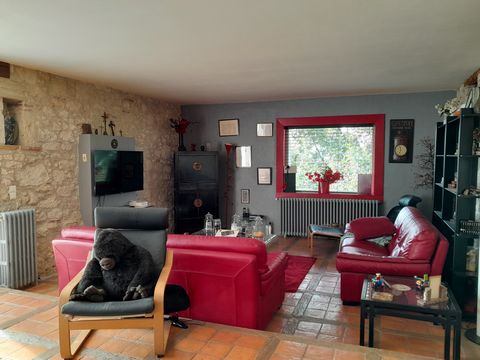 photo no. 6