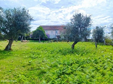 Small farm with manor house, located in the region of Marco de Canaveses. The property, fully walled, consists of land with about 3,600m2 where there is a main house, with a gross construction area of 490m2, caretaker's house, still, a haystack, a th...