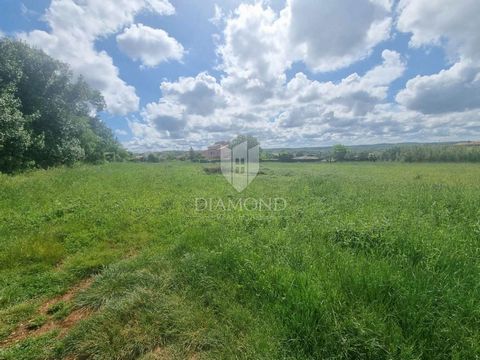 Location: Istarska županija, Poreč, Poreč. Parenzo, dintorni, terreno edificabile per la costruzione di ville Nelle vicinanze di Parenzo, a soli 10 km di distanza, è in vendita questo terreno edificabile ideale per la costruzione di ville per le vaca...