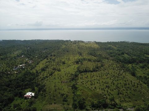 This extensive piece of land, located in one of the areas with the greatest tourist potential in the Dominican Republic, offers endless possibilities to develop large-scale projects. Its excellent location, just a few steps from a beautiful private b...