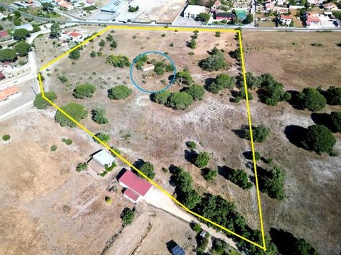 Quinta de 4ha avec un potentiel de construction, à Olhos de Água, Palmela. Grande parcelle de terrain avec devant 175 mètres de la route de Palmela à Pinhal Novo (CM1029). Il a une vieille maison à rénover et quelques arbres. Lot pour la construction...