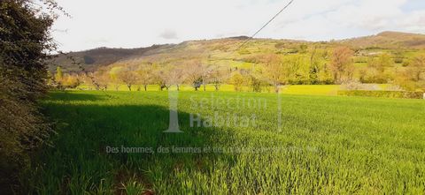 photo no. 1