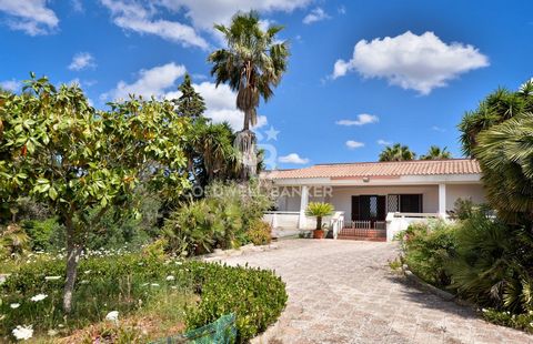 PUGLIA - SALENTO - UGENTO In Ugento, surrounded by greenery but not far from the town centre, we offer for sale a beautiful Villa of approximately 400 m2, surrounded by a garden of approximately 7,800 m2. The gate opens onto a wide avenue that leads ...