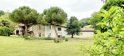 photo no. 1
