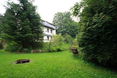 Dit vakantieappartement bestaat uit een grote woonkamer met gezellig meubilair en textielvloerbedekking. Aan de woonkamer grenst een balkon op het zuidwesten, vanwaar u vrij zicht heeft op de omliggende bergen en het kasteel. Verder beschikt het appa...