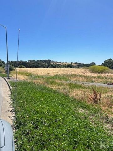Almost 10 Acre lot, Light industrial/Commercial. Many uses, Right in the midst of all the action, right off I 80, Dennys, many coffee and fast food eateries, hotels, office buildings automotive, close to Scandia miniature golf, check with City of fai...