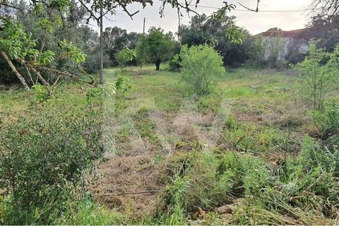 Terrain d’une superficie d’environ 1920 m² et faisabilité de construction dans la région d’Amendoais à Tunes.Avec une partie du terrain classé comme agglomérat rural dans le PDM de la municipalité de Silves, la construction est viable, selon le rappo...