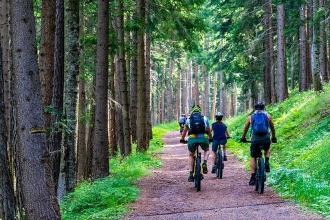 ampio soggiorno, 2 camere da letto, pavimenti in legno naturale, elettricità verde dal nostro impianto solare, area benessere con sauna al piano terra