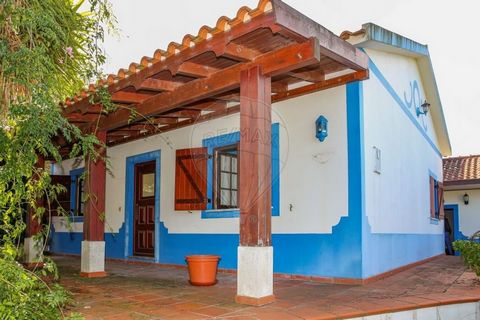 Moradia térrea T3+1  em S. Vicente de Paúl e Vale Figueira, Santarém - 165.000 €   Características Descrição Moradia térrea, rústica, T3+1 com 250 m2, localizada em S. Vicente de Paúl e Vale Figueira, Santarém, para remodelação . O Imóvel encontra-se...