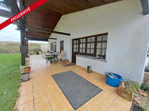 photo no. 9