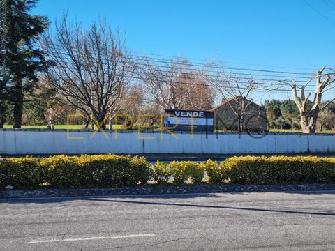 Fantastic Estate in the Unesco World Geo Park, on the main access road to Gouveia and Serra Estrela. Excellent location, with essential natural resources from its own water, urbanizable and agricultural land, sun exposure from sun to sun, attractive ...