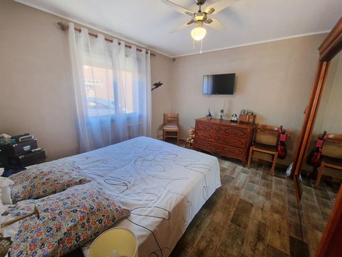 photo no. 10