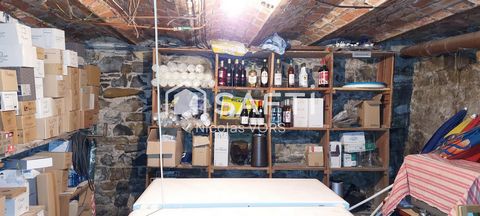 photo no. 13