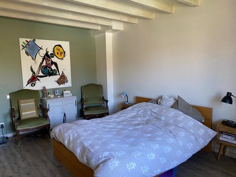 photo no. 11