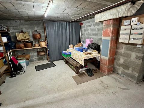 photo no. 11