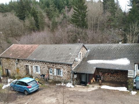 photo no. 12