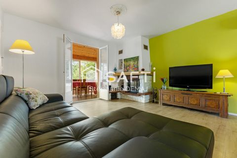 photo no. 15