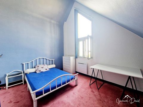 photo no. 13