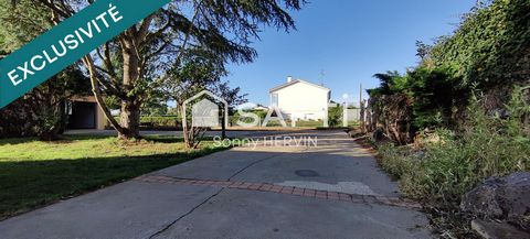 photo no. 2