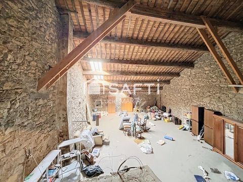 photo no. 13