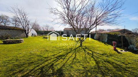 photo no. 10