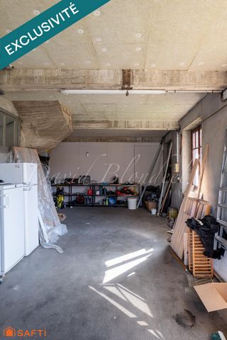 photo no. 18