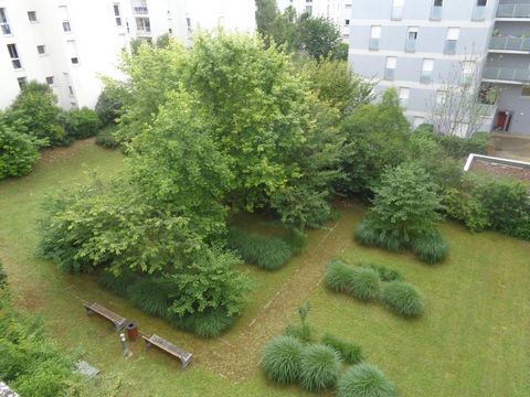 photo no. 8