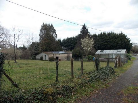 photo no. 8