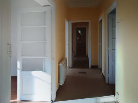 photo no. 6