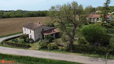 photo no. 13