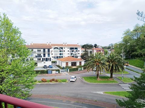 photo no. 16