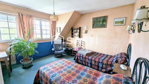 photo no. 12