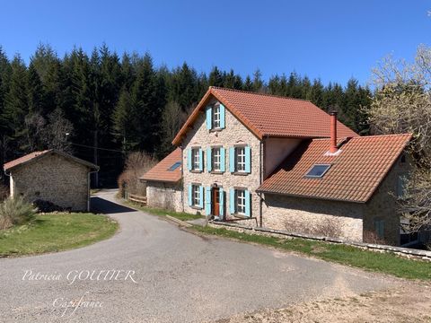 A NOIRETABLE (42) BELLE PROPRIETE de 275 M2 avec piscine chauffée , étang, dépendance, TERRAIN de 9000 M2