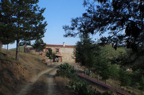 photo no. 13