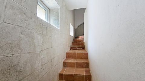 photo no. 10