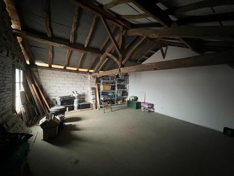 photo no. 5