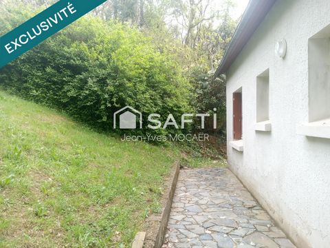 photo no. 10