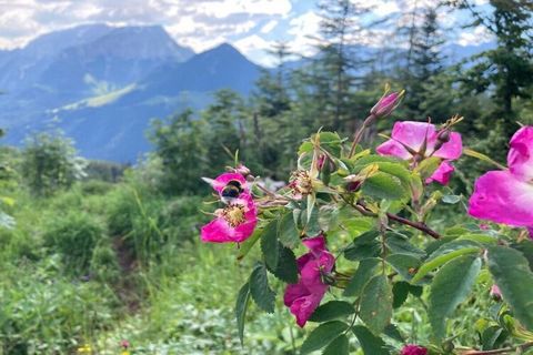 Are you looking for something SPECIAL? You'll find it with us! SECLUDED LOCATION in a side valley of the Priental with a panoramic view of the valley and the mountains. The attraction is the WATERFALL, the beauty of nature, the deer rut in autumn, cr...
