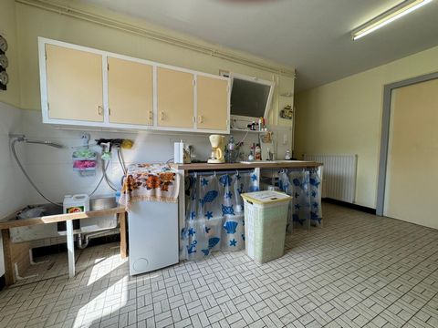 photo no. 8