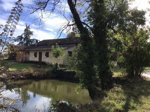 photo no. 17