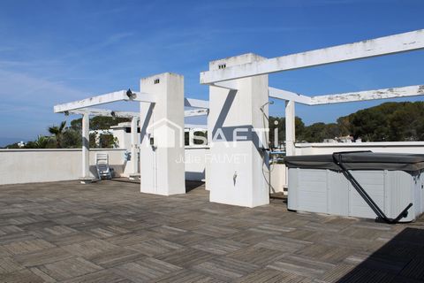 photo no. 12