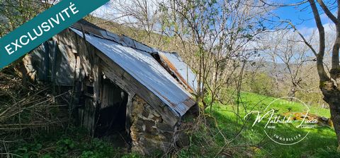 photo no. 3
