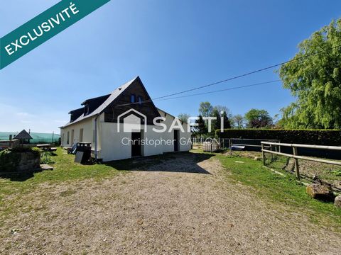 Maison, terrain, box : cadre idéal animaux