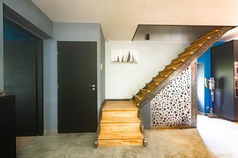 photo no. 11